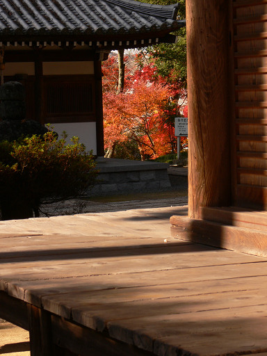 秋＿弘川寺_f0032758_2134411.jpg