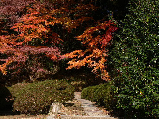 秋＿弘川寺_f0032758_21404299.jpg