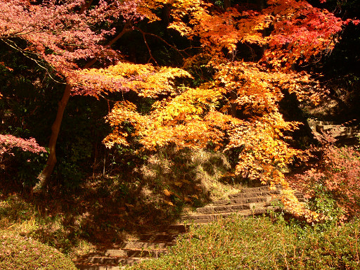 秋＿弘川寺_f0032758_21472513.jpg