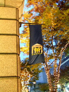 e0067563_1155134.jpg