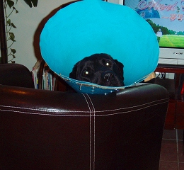 b0003270_1334137.jpg