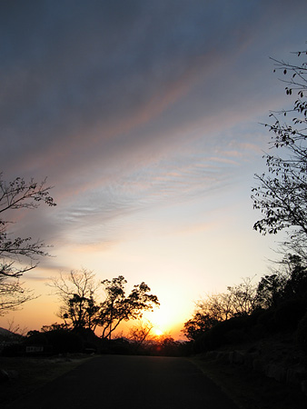 c0104371_1384231.jpg