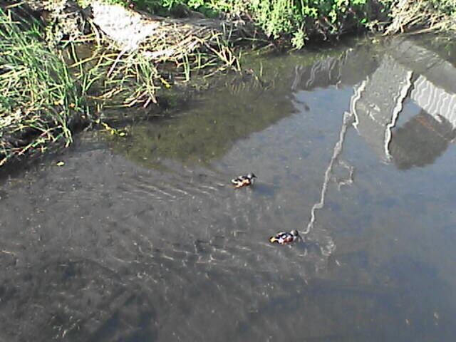 c0069380_16572395.jpg