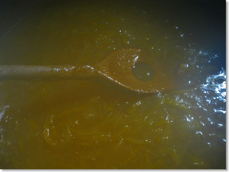 e0024081_8483438.jpg
