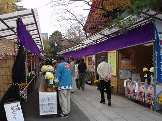 高幡不動尊 ～第37回菊まつり編_c0105785_929796.jpg