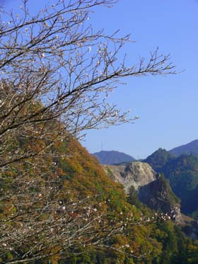 b0119190_8394830.jpg