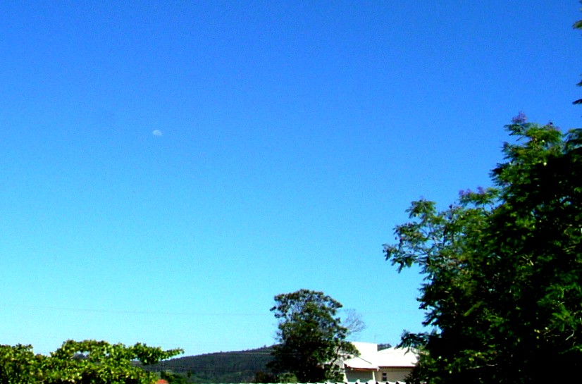 e0118096_8583356.jpg