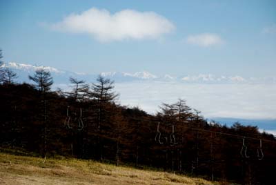 e0120896_8355731.jpg