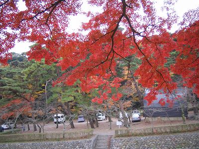 鈴鹿山脈に包まれた公園_d0033898_18531267.jpg