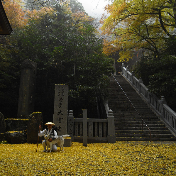11月17日(土) 秋へんろ第5日めpart1_c0049299_17542839.jpg