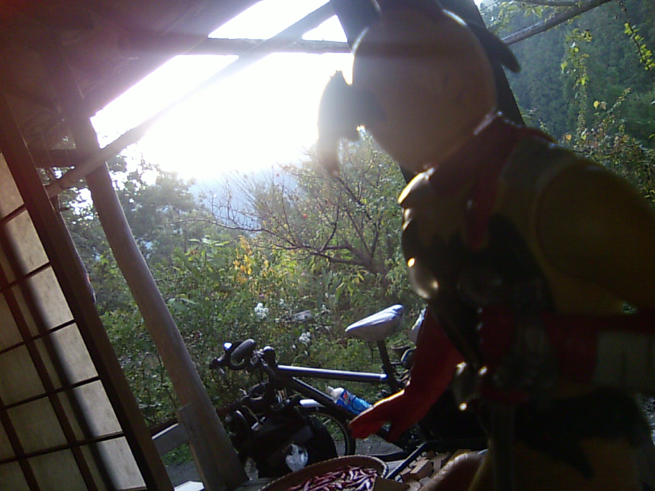 b0001402_23581729.jpg