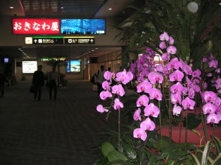 e0011102_22482644.jpg