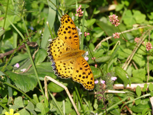 d0120803_2355381.jpg