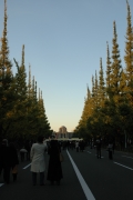 d0052904_084413.jpg