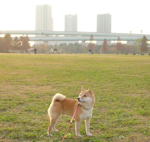 f0004309_2222313.jpg