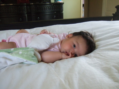 c0151122_215131.jpg