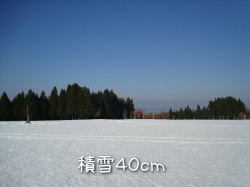 f0054731_119885.jpg