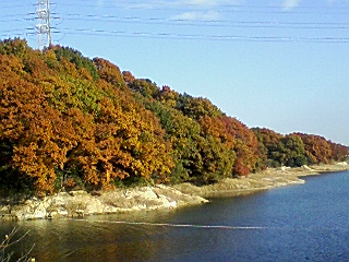 f0124733_16281394.jpg