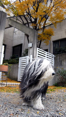 e0114637_23193022.jpg