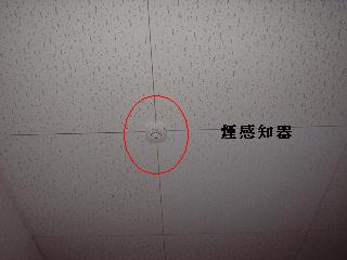 f0031037_18385680.jpg