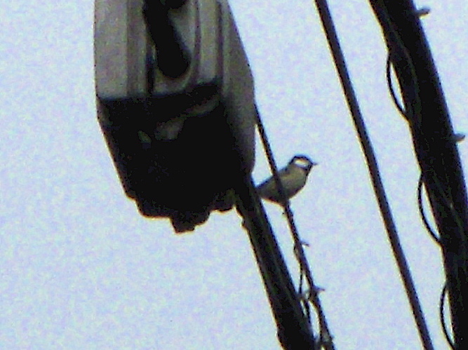 b0019140_1439147.jpg