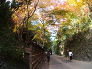 c0119142_8131064.jpg