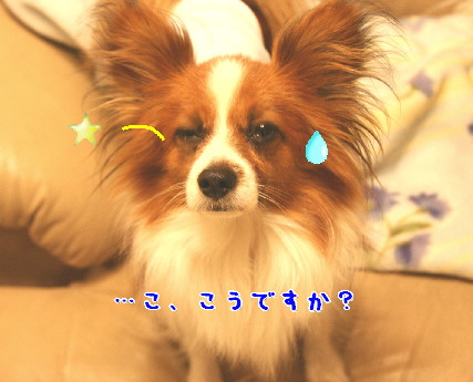 d0013149_0391630.jpg
