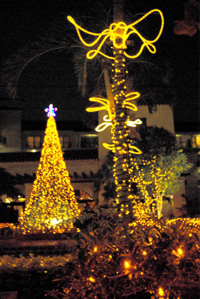 f0012154_2022997.jpg
