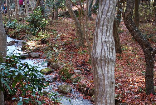 有馬瑞宝寺公園の紅葉_c0009855_1961096.jpg