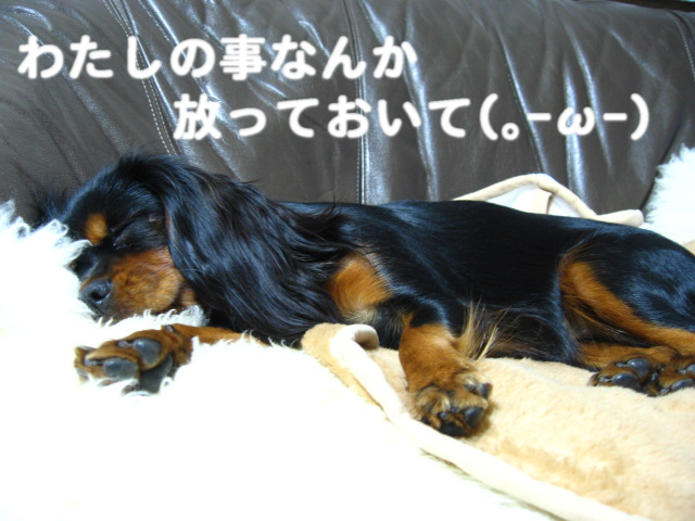 a0101958_1641567.jpg