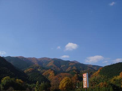 一言主神社　２００７．１１．３０_c0148762_19213232.jpg