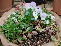 c0055363_1546648.jpg