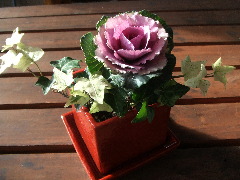 c0055363_15521710.jpg