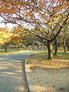 e0067563_1142141.jpg