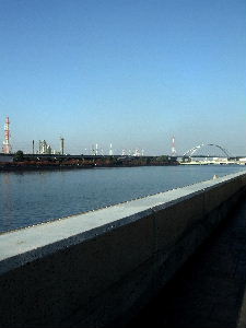 e0067563_1194783.jpg