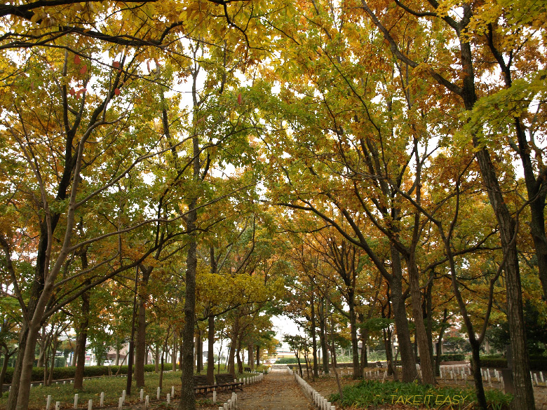 雨上がりの公園・・_a0078765_021394.jpg