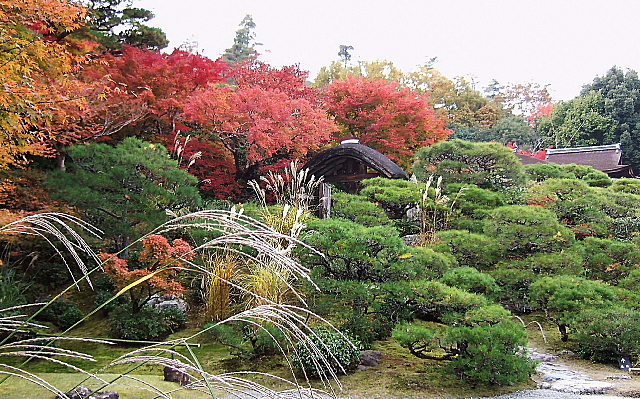 b0053765_00533.jpg