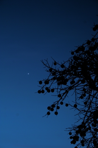 d0132769_18151540.jpg