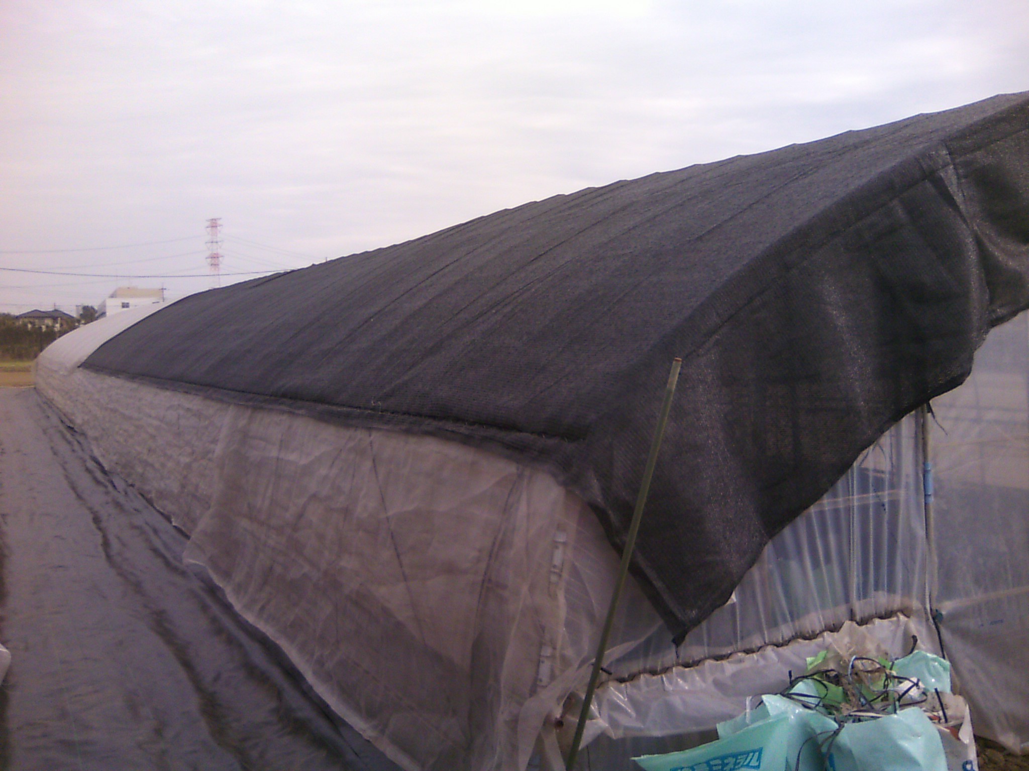 d0094272_20235886.jpg