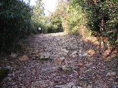 a0087378_659037.jpg