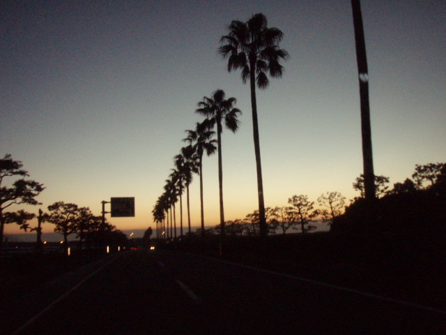e0125483_056595.jpg
