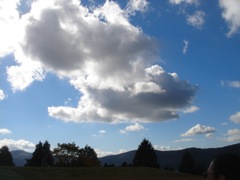 2007年11月30日あわてるなあ。もう明日は12月 _b0098584_1950085.jpg