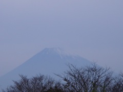 2007年11月30日あわてるなあ。もう明日は12月 _b0098584_19511718.jpg