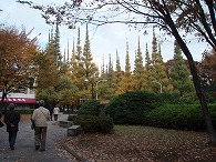 c0105785_20175373.jpg