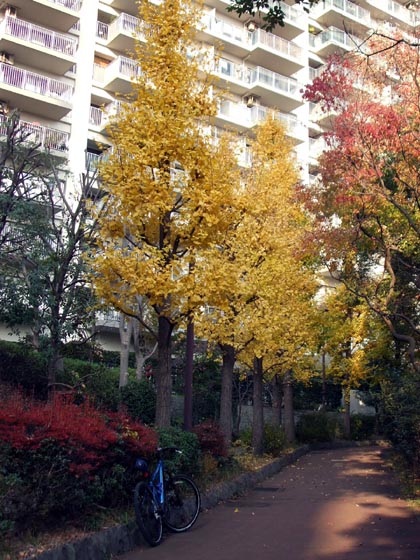 e0034994_16341160.jpg