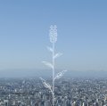 ●コブクロ 全シングル&アルバム_b0033699_21201748.jpg