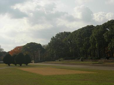 c0011501_21111325.jpg