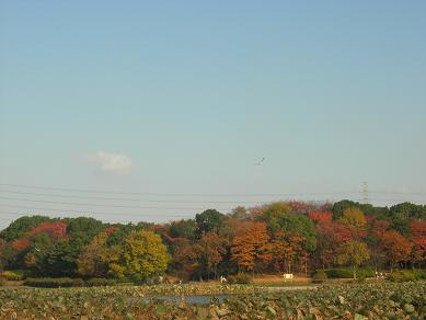 c0011501_21733.jpg