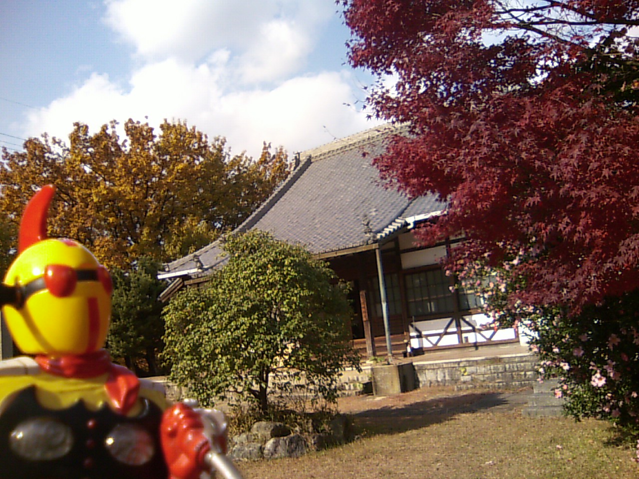 b0001402_23593730.jpg