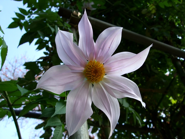 d0079302_20475392.jpg
